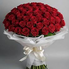 Букет 101 Красная роза Блэк Мэджик в Губдене