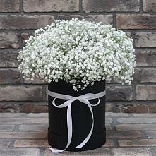 Цветочная композиция из Гипсофила в шляпной коробке в Губдене